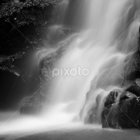 The birth of bliss by Alejo Cedeno - Nature Up Close Water