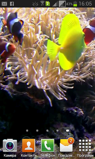 Fish underwater video LiveWP
