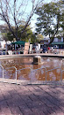 Fuente Plaza Del Mercado
