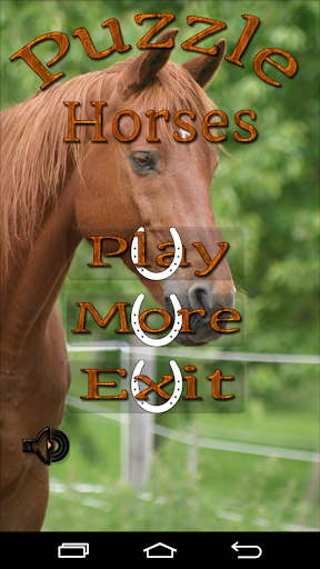 Puzzle Horses 2015