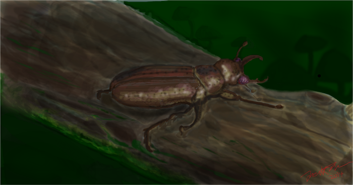 ~Lucanus cervus~