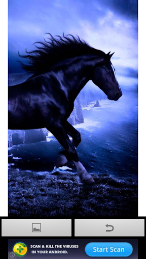 【免費攝影App】This is Horse Wallpaper-APP點子