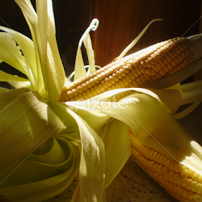 Corns by Anindya Saha - Novices Only Flowers & Plants