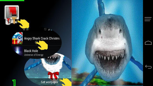 免費下載個人化APP|Angry Shark Pet Christmas Skin app開箱文|APP開箱王