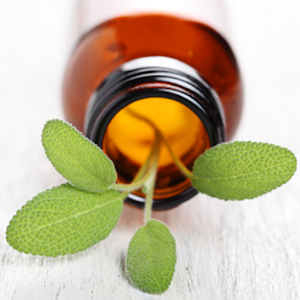 AromaGuide Huiles essentielles logo