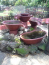Zen Fountain