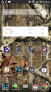 How to download Mossy Oak Brown Theme lastet apk for laptop