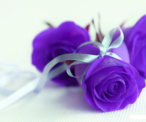 【免費個人化App】Purple Rose Live Wallpaper-APP點子