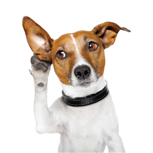 Match Doggy Sounds.apk 1.0