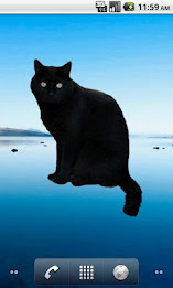 Black Cat Sticker poster 5