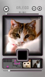 Download KALEIDOにゃんこ～北の大地から～ APK for PC