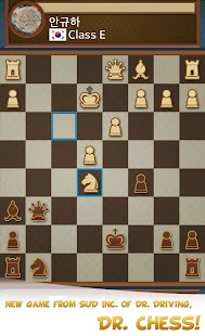 Dr. Chess Screen 3
