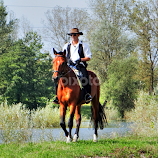 Cowboy ? by Gordana Trošić-Kliska -  