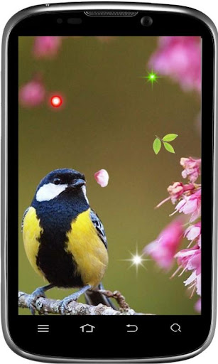 【免費個人化App】Spring Birds HD LWP-APP點子