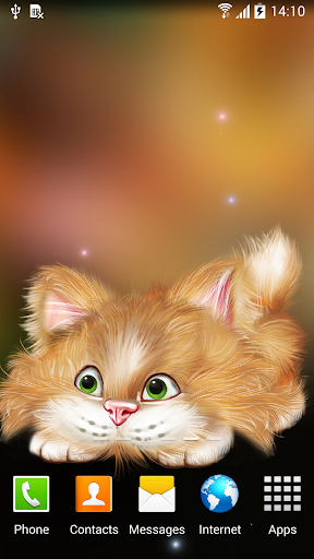 【免費個人化App】Funny Cat Live Wallpaper-APP點子