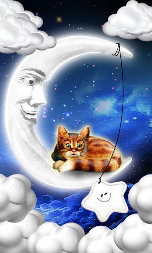 Cat on Moon