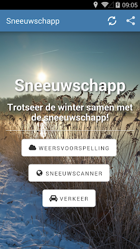 Sneeuwschapp