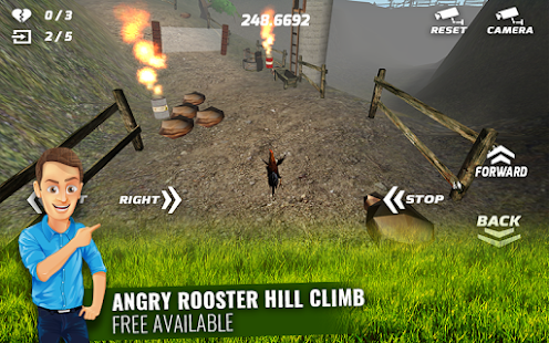 Download Angry Rooster Simulation APK