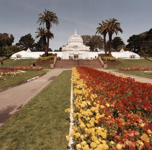 Golden Gate Park Conservatory of Flowers, site context, 1996