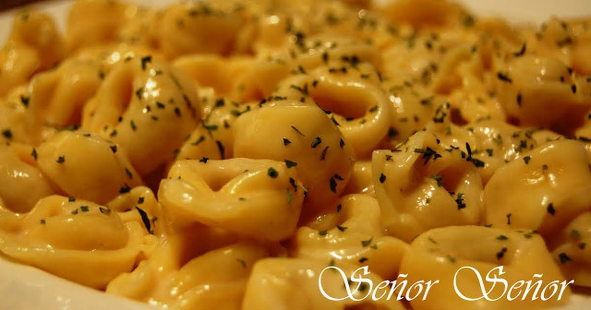 10 Best Easy Cheese Sauce with No Flour Recipes