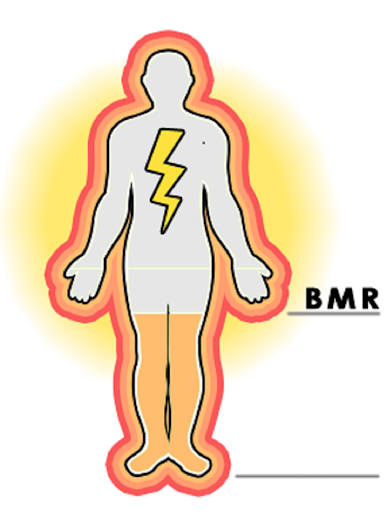 Basal Metabolic Rate