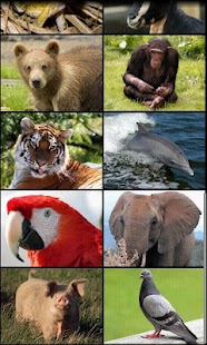 How to download Animal Sounds 1.0.1 apk for bluestacks
