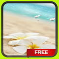 Beach Ocean Butterflies Apk