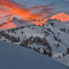 winter sunset by Luca Mondini - Landscapes Sunsets & Sunrises