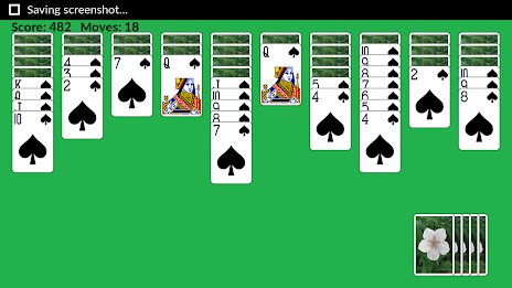 Pro Spider Solitaire free poster 2