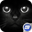 Find Cat mobile app icon