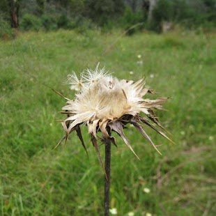 How to install Agricultural Science patch 1.0 apk for android