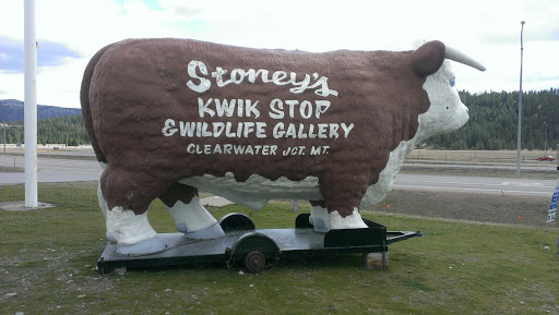 Stoney's Cow