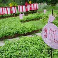 安妮公主花園餐廳