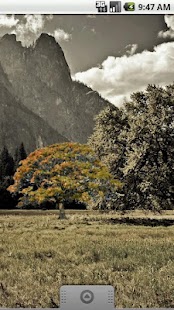 How to install Oak Tree Fall Sticker patch 1.0 apk for android