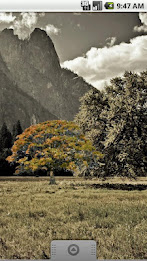 Oak Tree Fall Sticker poster 2