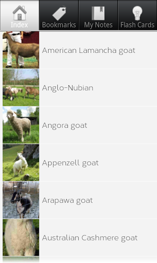 Goat Breeds: Types of Goat