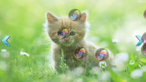 Baby Soap bubbles poster 3