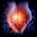 Christian Quotes icon