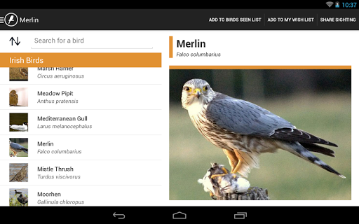 免費下載書籍APP|Irish Birds app開箱文|APP開箱王