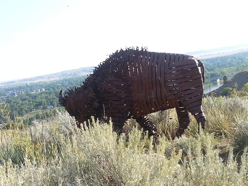 Bison View