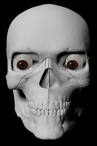 Android application StareDCat Skele screenshort