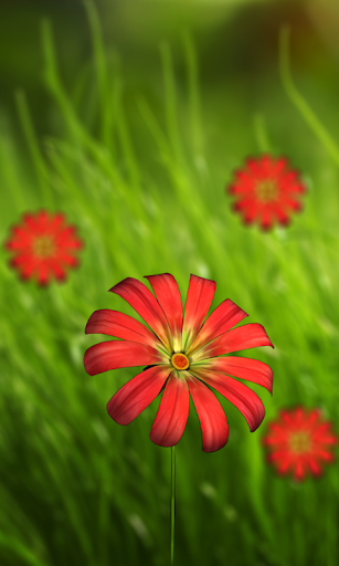 免費下載個人化APP|360 Flower live wallpaper 3D app開箱文|APP開箱王