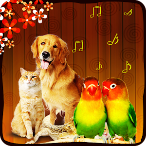 Animal + Bird Sound Effects.apk 1.6