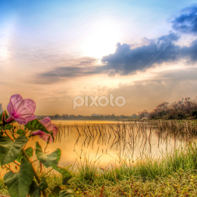 telaga ngipik by Rizal Debby - Landscapes Travel