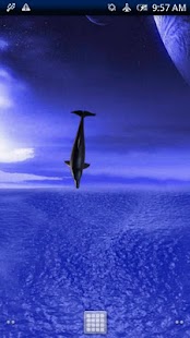 download Dolphin Fly Trial free