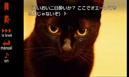 暁のメイデン poster 5