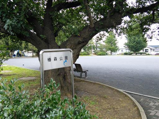 Tsubakimori Kouen 椿森公園
