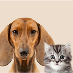 Cover Image of ดาวน์โหลด Pets Welcome Lodging 1.1 APK