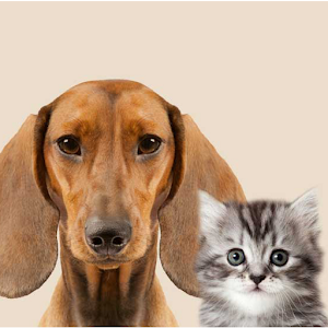 Pets Welcome Lodging 1.1