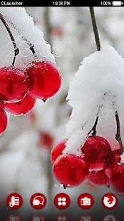 Snowy Cherry Theme Screenshots 0
